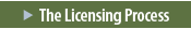 The Licensing Process