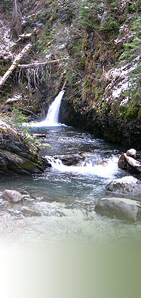 Falls Creek