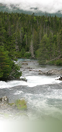 Grant Lake