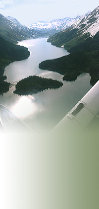 Grant Lake from the air